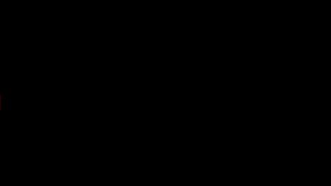 20039